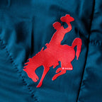 BUCKING HORSE AND RIDER