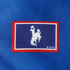 CLASSIC BUCKING HORSE AND RIDER