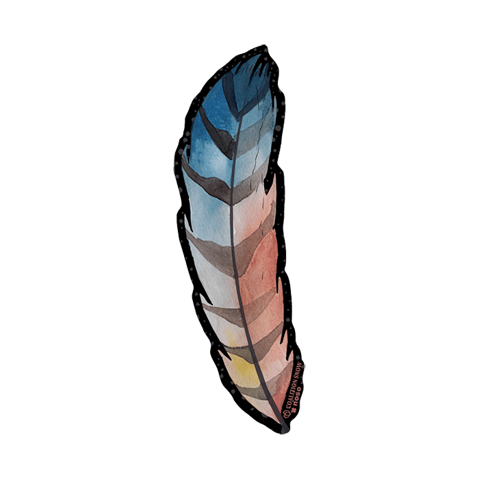 CAMPFIRE BIRDSONG By Coalition Snow x NoSo