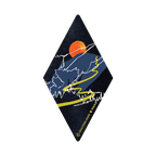 NICE N STEEZY DIAMOND By Coalition Snow x NoSo