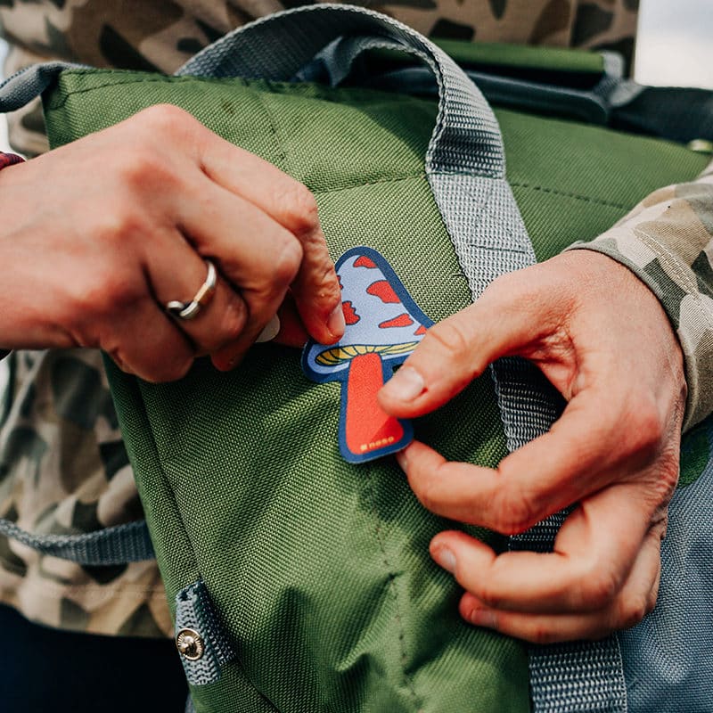 DEAD AND GRATEFUL MUSHROOM