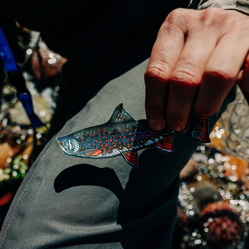 DOLLY VEE by FISHE x NoSo