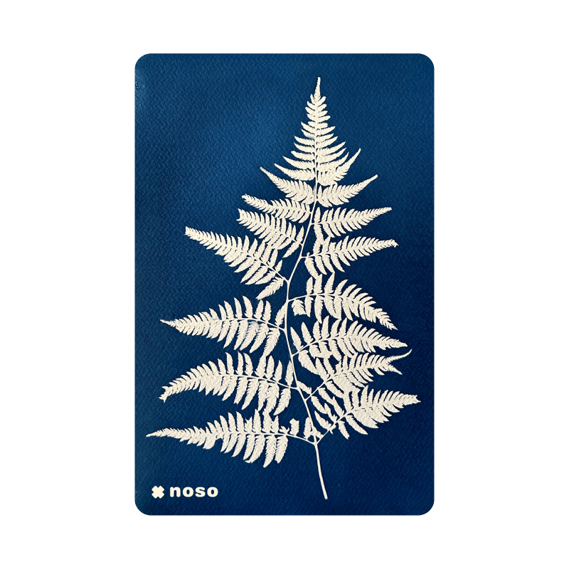 FERN by Kellie Swanson