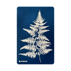 FERN by Kellie Swanson