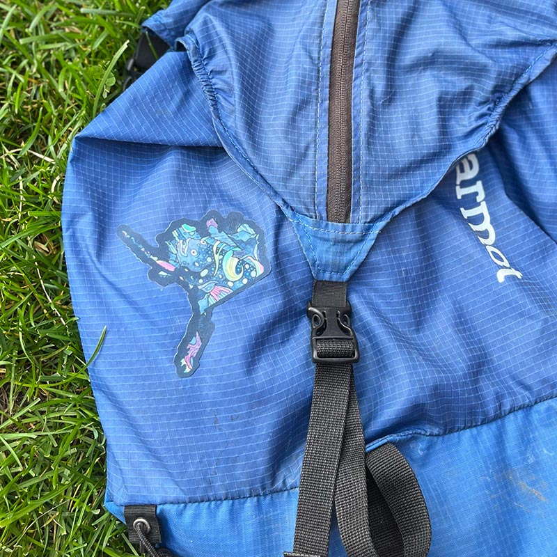 ALASKA HALIBOREALIS by FISHE x NoSo