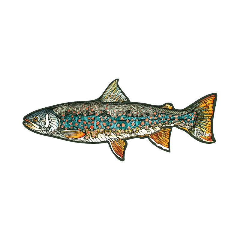 DOLLY VEE by FISHE x NoSo