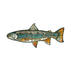 DOLLY VEE by FISHE x NoSo