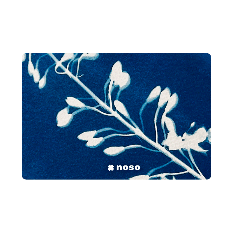 FLORAL RAY by Kellie Swanson