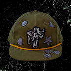 DAZZIT™ DOME Loden Green