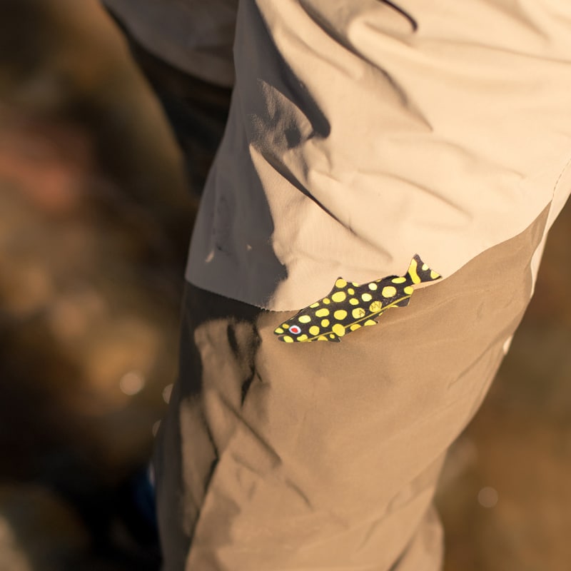 GROS VENTRE BROOK by A.D. Maddox