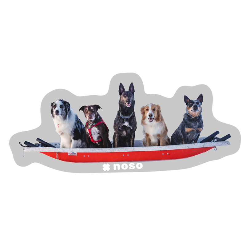 JHSP TOBOGGAN PATROL DOGS