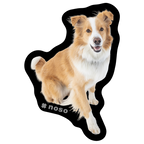 TOBY THE AVY DOG