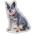 DOLLY THE AVY DOG