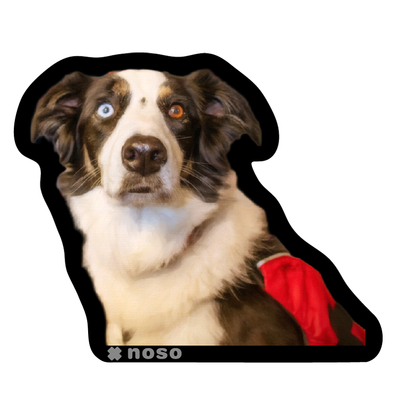 GOOSE THE AVY DOG
