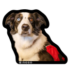 GOOSE THE AVY DOG