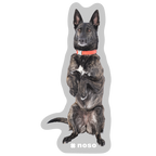 CACHE THE AVY DOG