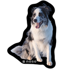 OLAF THE AVY DOG