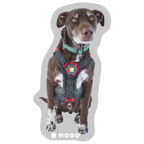 LEVI THE AVY DOG