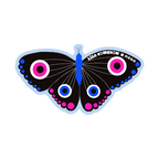 HARMONY 2-PACK by Lisa Congdon