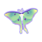 LUNA MOTH