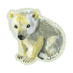 GRAY BEAR by Nathalie Leté