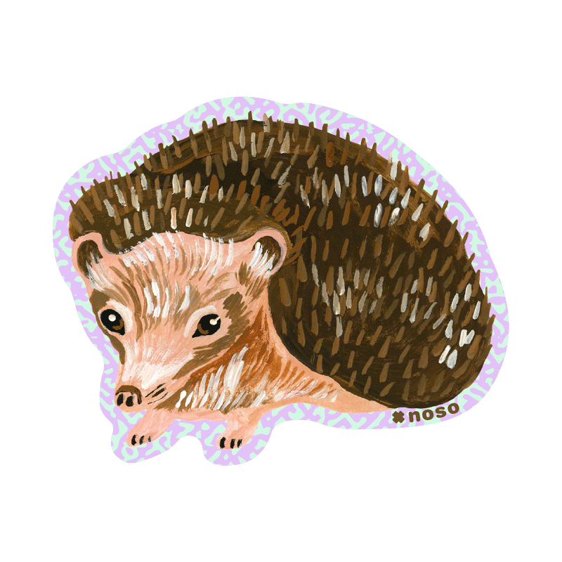 BROWN HEDGEHOG by Nathalie Leté
