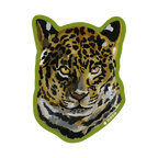 LEOPARD GAZE by NATHALIE LETÉ