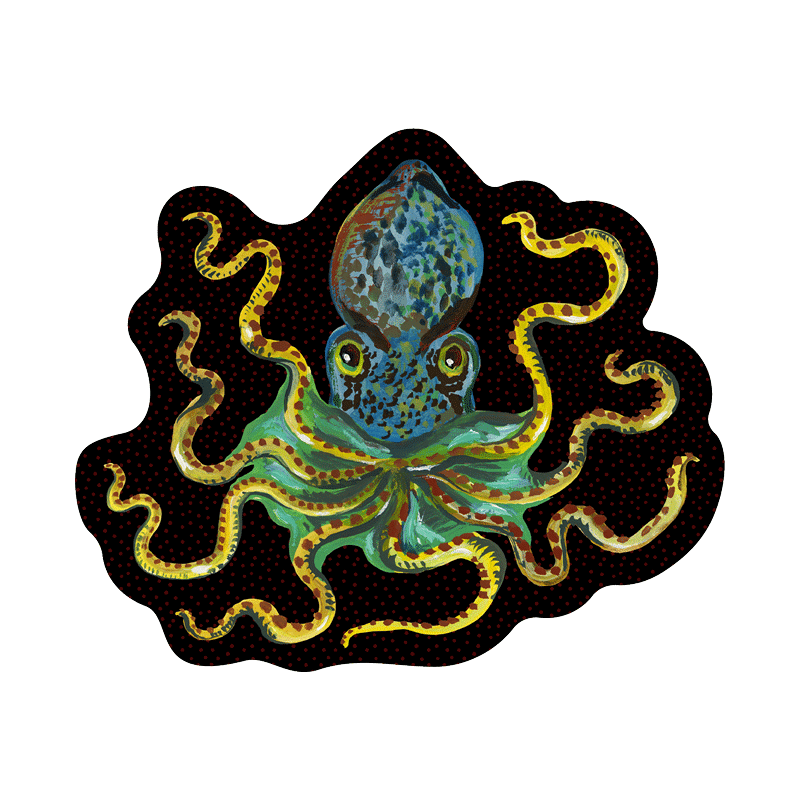 OCTOPUS by Nathalie Leté