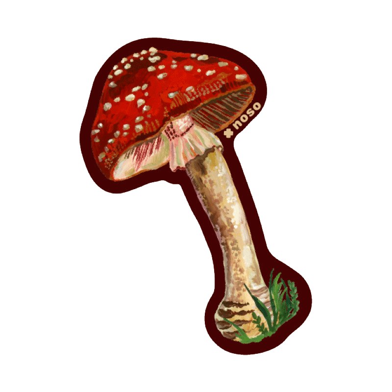 MUSHROOM by Nathalie Leté