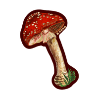 MUSHROOM by Nathalie Leté