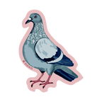 PIGEON