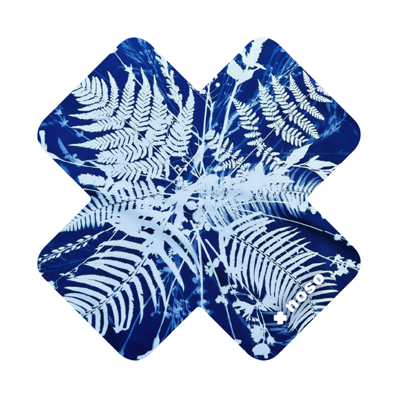 POLYPODIOPHYTA X by Kellie Swanson