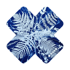 POLYPODIOPHYTA X by Kellie Swanson