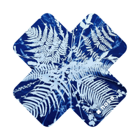 POLYPODIOPHYTA X by Kellie Swanson