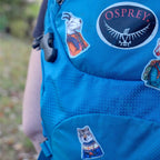 WOLF STARGAZER by Rachel Kozlowski