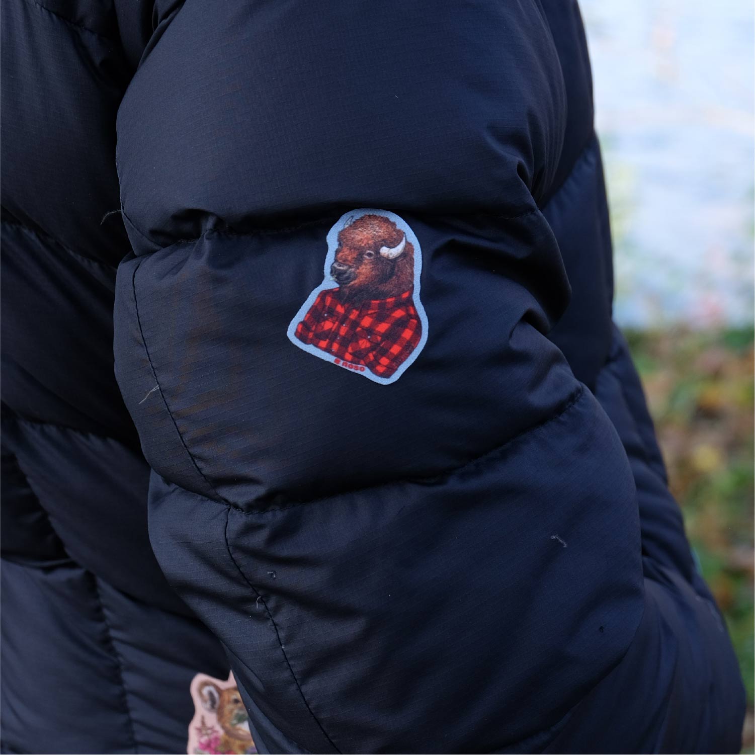 BISON BUFFALO PLAID by Rachel Kozlowski