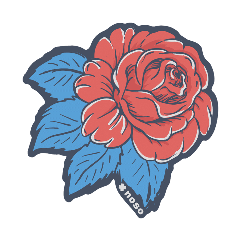 RED ROSE BLUE LEAVES