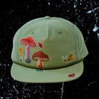 DAZZIT™ DOME Sage Green
