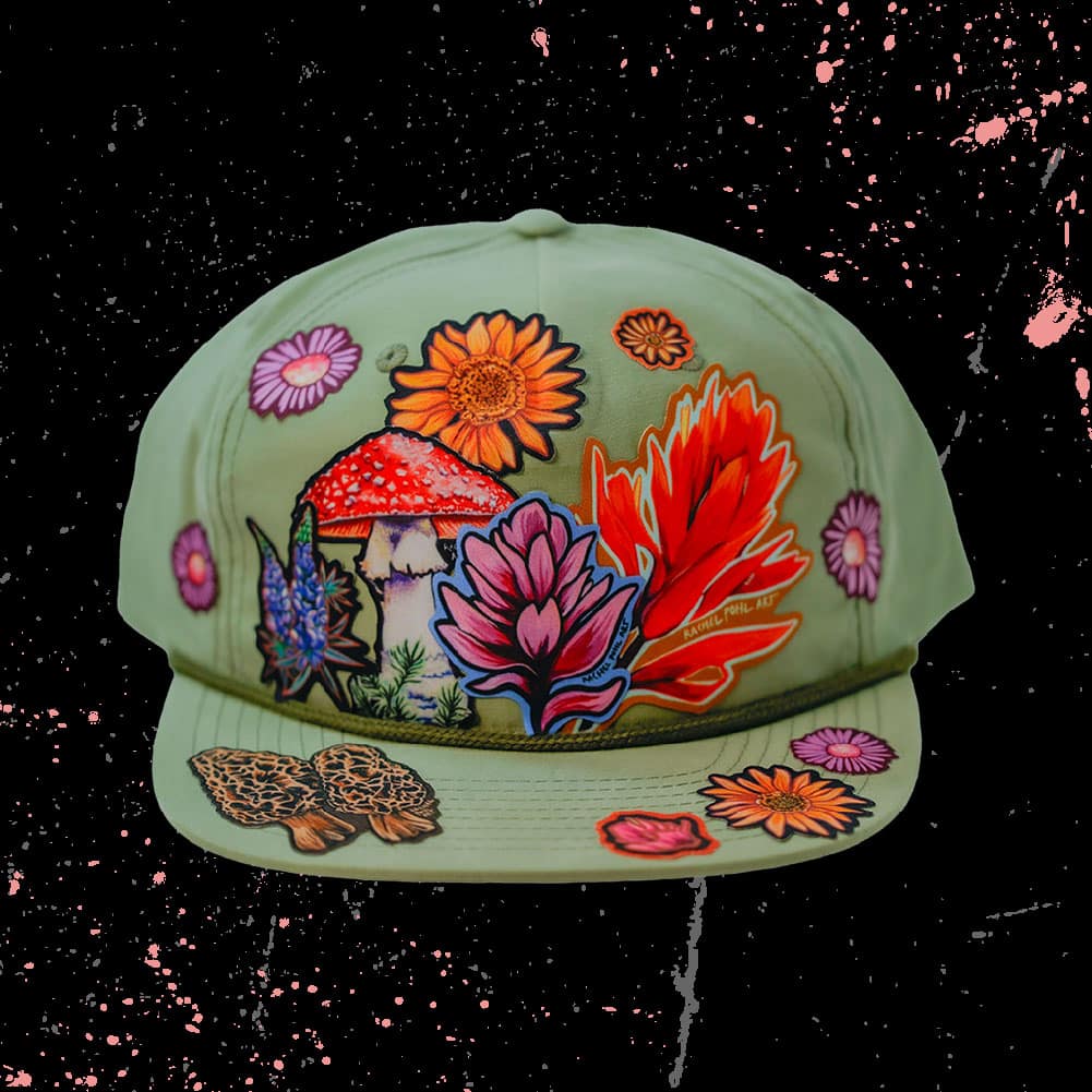 DAZZIT™ DOME Sage Green