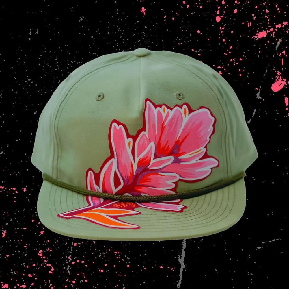 DAZZIT™ DOME Sage Green