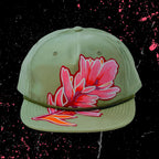 DAZZIT™ DOME Sage Green