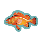 ROCKFISH By Salmon Sisters x NoSo