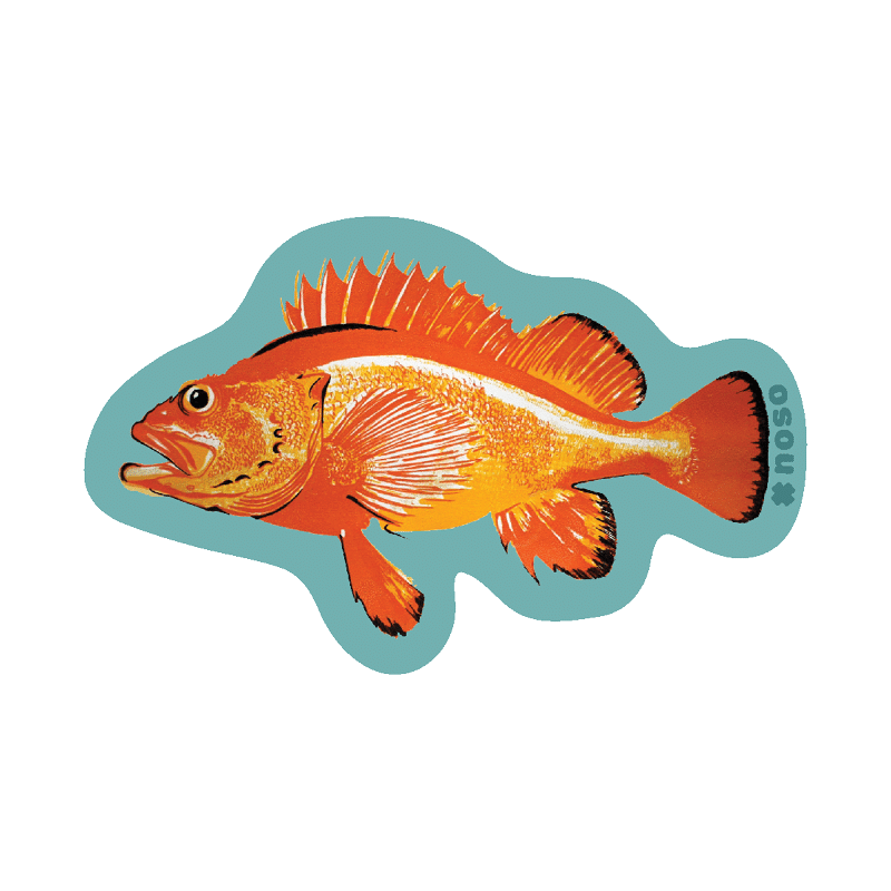 ROCKFISH By Salmon Sisters x NoSo