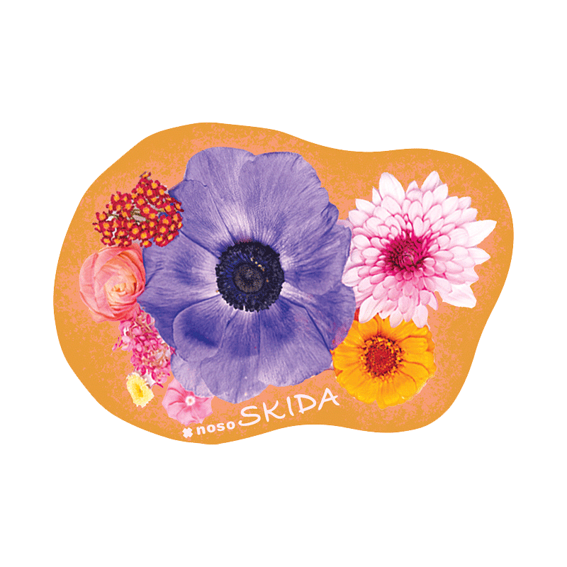 PRIM & POPPY by Skida x NoSo