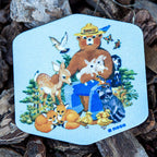 FRIENDS Smokey Bear x NoSo