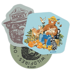 SMOKEY BEAR SET