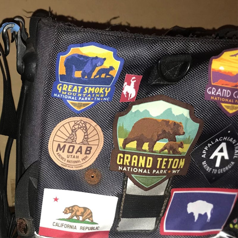 GRAND TETON BEAR  by Anderson Design Group