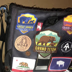 GRAND TETON BEAR  by Anderson Design Group