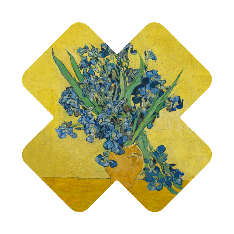 VAN GOGH IRISES