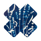 WILDFLOWER X by Kellie Swanson